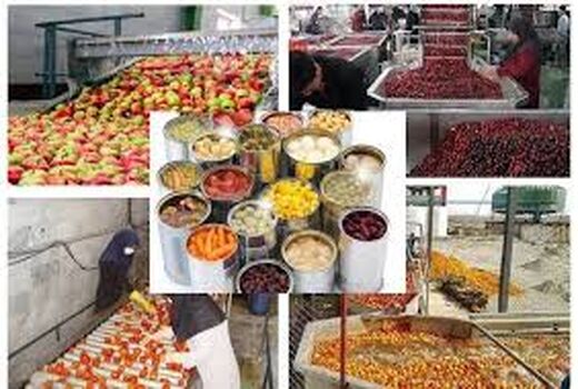 رشد چشمگیر جذب مواد خام در بخش صنایع غذایی و تبدیلی شهرستان تهران