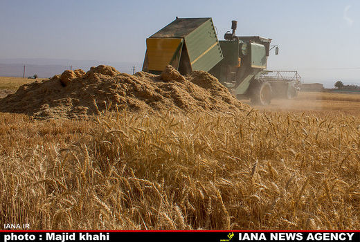 کشت اصولی برای خودکفایی