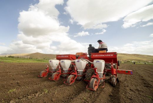 رشد  ۱۷۸ درصدی کشت نشایی در استان اصفهان