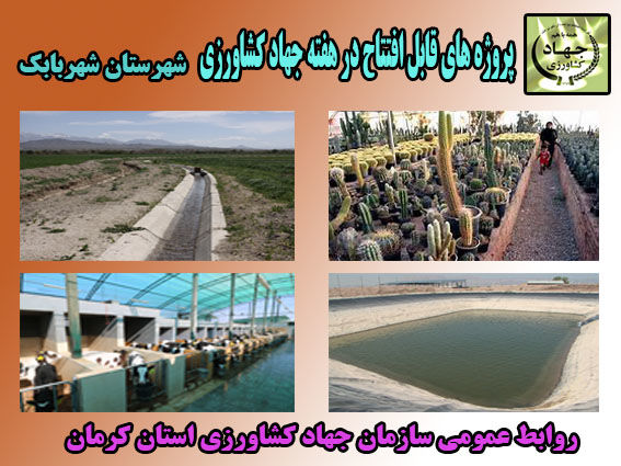 دوازده طرح کشاورزی و دامپروری در شهرستان شهربابک در هفته جهاد کشاورزی به بهره برداری می رسد.