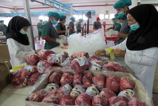 توزیع 500 تن گوشت سفید وقرمز درسیستان وبلوچستان