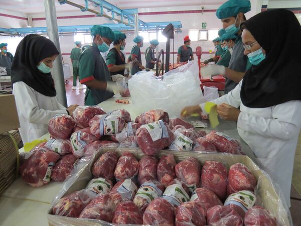 توزیع 500 تن گوشت سفید وقرمز درسیستان وبلوچستان
