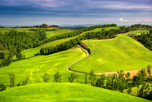 آموزش، ترویج و مشارکت مردمی راهکار مدیریت پایدار مراتع است