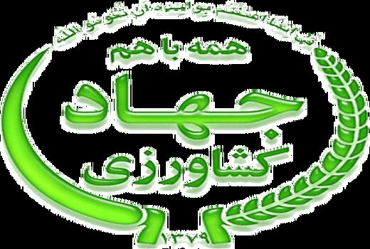 نقش آفرینی زنان روستایی کشورمان در توسعه پایدار مثال زدنی است