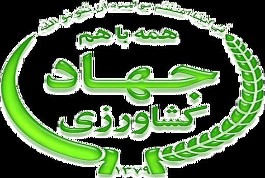 نقش آفرینی زنان روستایی کشورمان در توسعه پایدار مثال زدنی است