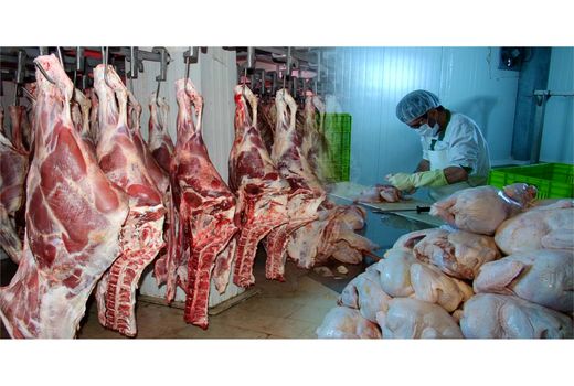 تولید 2600 تن گوشت در بابل/ ارزش اقتصادی 3500 میلیاردی