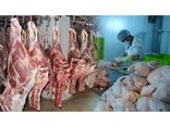 تولید 2600 تن گوشت در بابل/ ارزش اقتصادی 3500 میلیاردی