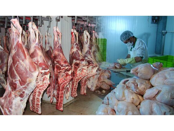 تولید 2600 تن گوشت در بابل/ ارزش اقتصادی 3500 میلیاردی