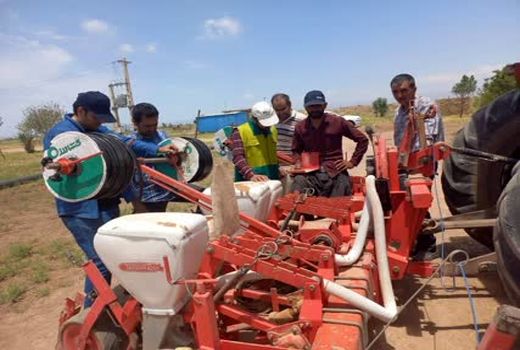 بکارگیری ۱۱ کارشناس فنی بر کمباین‌های برداشت محصولات پاییزه