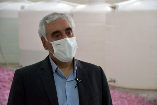 اسانس گیری گل محمدی در چهار واحد کارگاهی آذربایجان شرقی / صادرات اسانس گل محمدی به اروپا