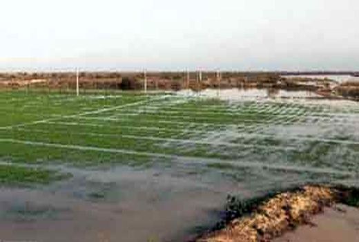 کمک بلاعوض  به  کشاورزان  اصفهانی آسیب دیده  از سیل بهاره