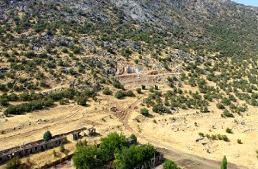 دو هزار و 200 هکتار جنگلکاری اقتصادی در چهارمحال و بختیاری