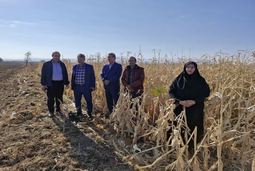 برگزاری رزمایش مبارزه با کرم برگخوار پاییزه در بستان‌آباد به مناسبت هفته پدافند غیرعامل