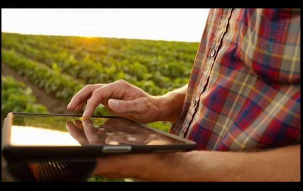 حکایت عددی که سرزمین را نجات داد