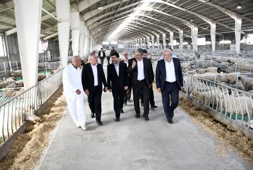 احداث بزرگترین زنجیره تولید گوشت مرغ کشور در شبستر