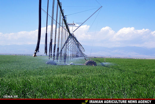 10 هزار هکتار سامانه نوین آبیاری تا پایان امسال به بهره‌برداری می‌رسد