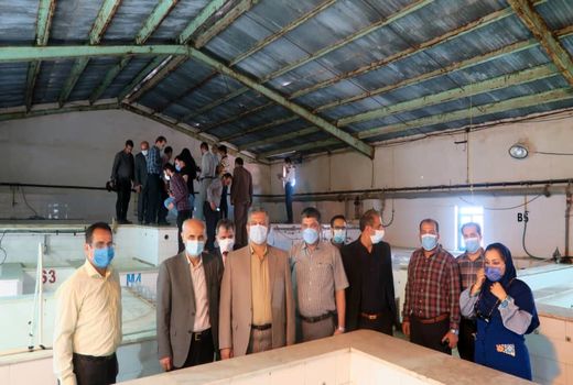 صادرات محصولات شیلاتی به کشورهای اروپایی ارمغان سفر سفیر ارمنستان به خوزستان