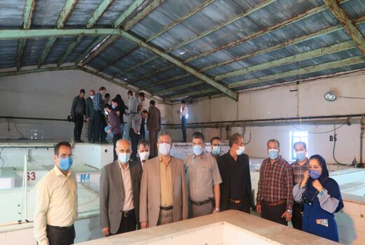 صادرات محصولات شیلاتی به کشورهای اروپایی ارمغان سفر سفیر ارمنستان به خوزستان