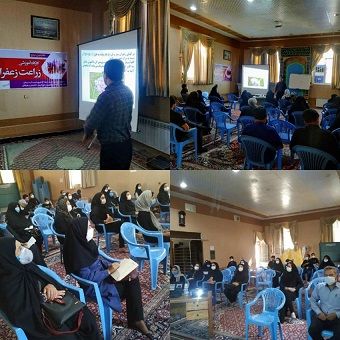 مناطق مختلف شهرستان سیرجان پتانسیل قابل توجهی را جهت کاشت زعفران دارند