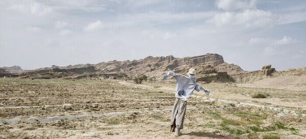 جرائم تسهیلات بانکی برای کشاورزان خسارت دیده از خشکسالی در اصفهان بخشیده شد