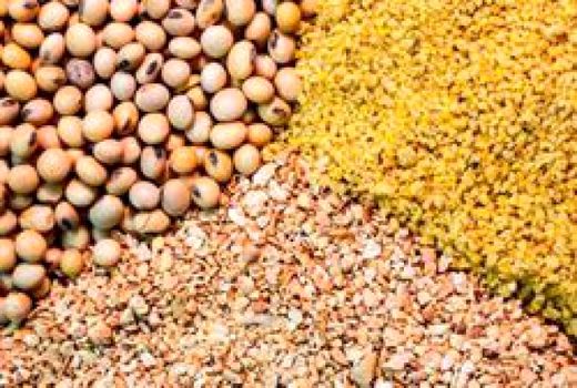 راه اندازی سامانه بازارگاه محصولات و نهاده های کشاورزی