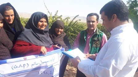  کار گاه آموزشی آشنایی با سموم رایج کشور در بیرجند برگزار شد.