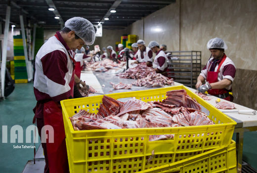 سالانه ۱۵ میلیون تن محصولات پروتئینی در کشور تولید می‌شود