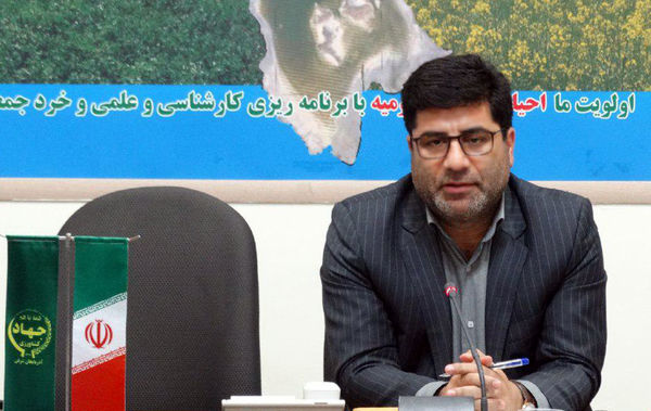 خرید بیش از ۴۵ هزار تن گندم در آذربایجان شرقی