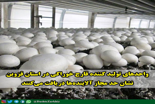 واحدهای تولید کننده قارچ خوراکی در استان قزوین، نشان حد مجاز آلاینده‌ها دریافت می‌کنند