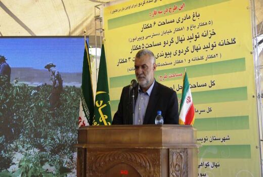 دستیابی ایران به تکنولوژی تولید کشت بافت نهال گردو