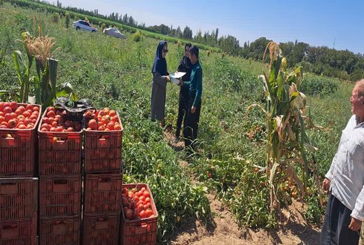 استفاده از عوامل بیولوژیک در بیش از ۶۵ هزار هکتار از اراضی کشاورزی آذربایجان‌غربی