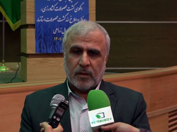 طراحی یک بسته حمایتی و جذاب برای اجرای الگوی کشت/ افزایش ۱۰۰ درصدی عوارض محصولات آب‌بر