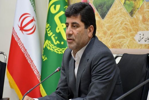 خرید گندم در آذربایجان شرقی از مرز ۵۶۰ هزار تن گذشت