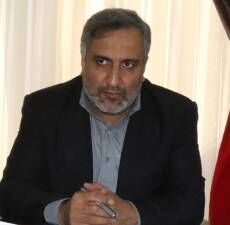 ورود سرمایه‌گذار خارجی به کشور پس از رفع تحریم‌ها/ جذب بالای سموم بی‌کیفیت چینی در گیاه