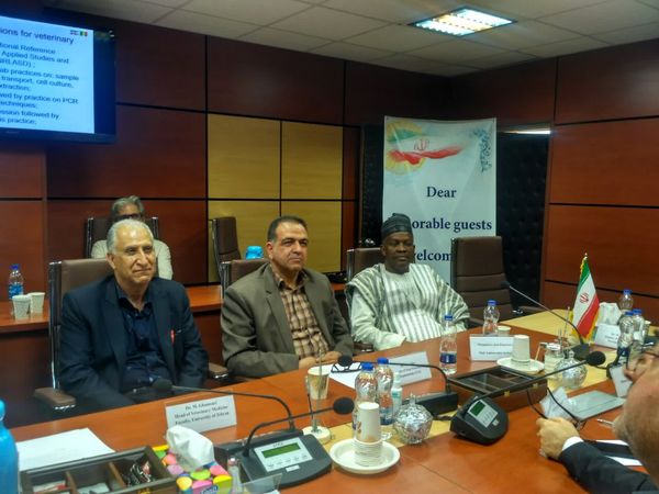 آغاز همکاری‌های دوجانبه بین ایران و مالی