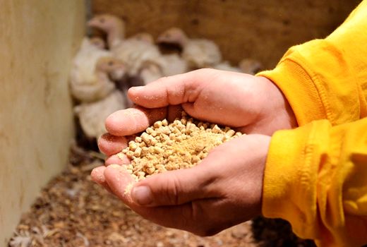  بازی دو سر برد آقای تاجر