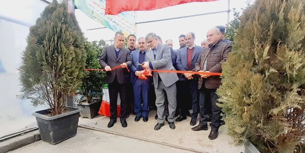 افتتاح گلخانه تولید نشاء مکانیزه سبزی و صیفی در شهرستان کرج با حضور معاون وزیر و استاندار البرز 