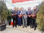 افتتاح گلخانه تولید نشاء مکانیزه سبزی و صیفی در شهرستان کرج با حضور معاون وزیر و استاندار البرز 