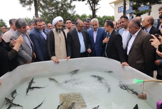 بازدید وزیر جهاد کشاورزی از ایستگاه تحقیقاتی تاس ماهیان گیلان