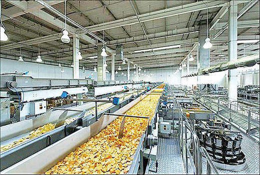 8 طرح صنایع تبدیلی و غذایی در چهارمحال و بختیاری آماده بهره‌برداری است