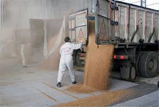 سه هزار و ۵۰۰ تن گندم بندری وارد خراسان شمالی شد