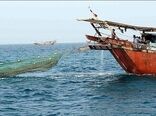 پایان زمان صید میگو در استان بوشهر اعلام شد
