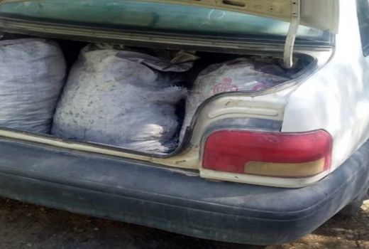 توقیف خودروی حامل زغال بلوط قاچاق در کوهرنگ