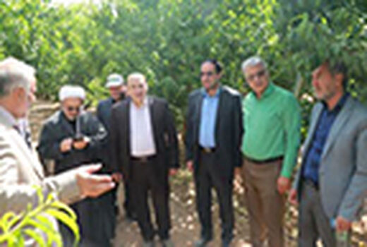 دانش و فناوری برای باغداران در اولویت قرار گیرد