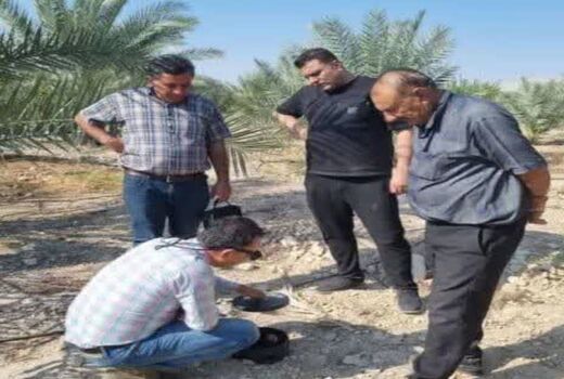 تست شناسایی آفت سرخرطومی حنایی خرما با هوش مصنوعی