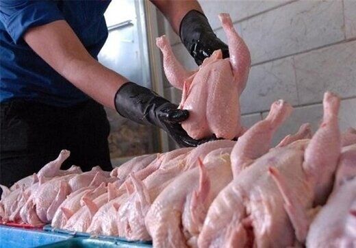 قیمت مرغ حباب است/کاهش ۳۰ درصدی مصرف در بوشهر