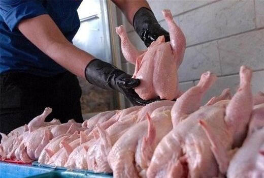 قیمت مرغ حباب است/کاهش ۳۰ درصدی مصرف در بوشهر