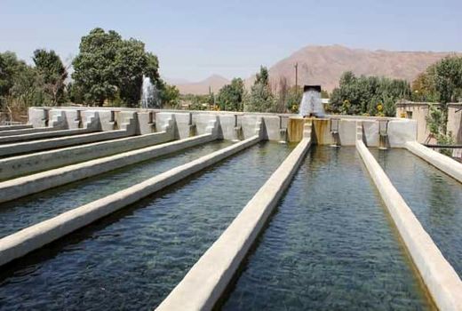 آذربایجان غربی پیشرو در پرورش آبزیان
