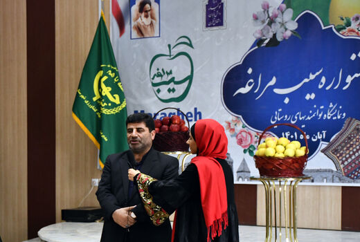 تولید 50 درصد سیب استان در مراغه