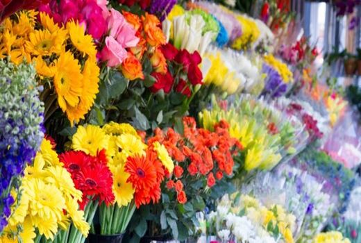 بلایی که کرونا بر سر محصولات کشاورزی آورد؛ گل‌هایی که معدوم شد